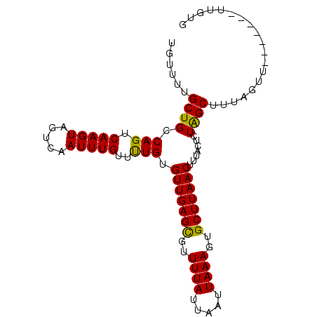 secondary structure