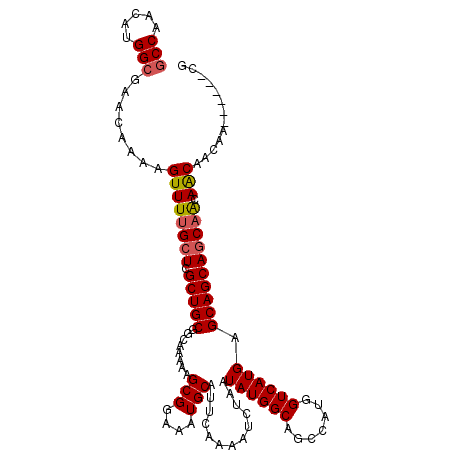 secondary structure
