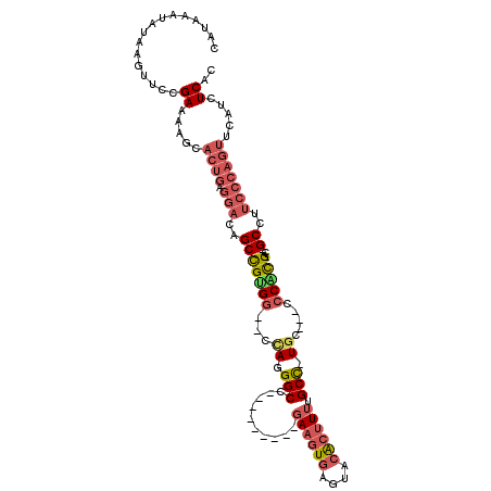secondary structure