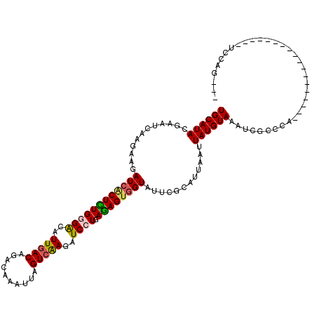 secondary structure