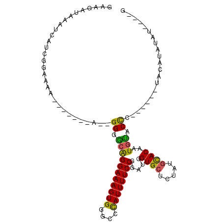 secondary structure