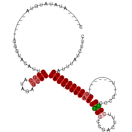 secondary structure