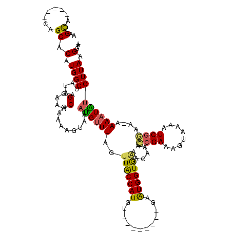 secondary structure