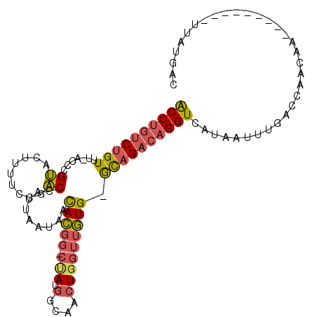 secondary structure