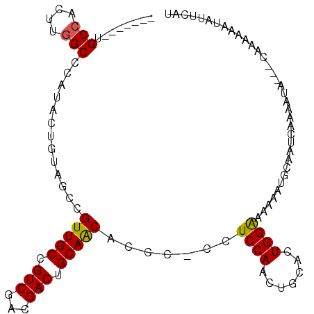 secondary structure