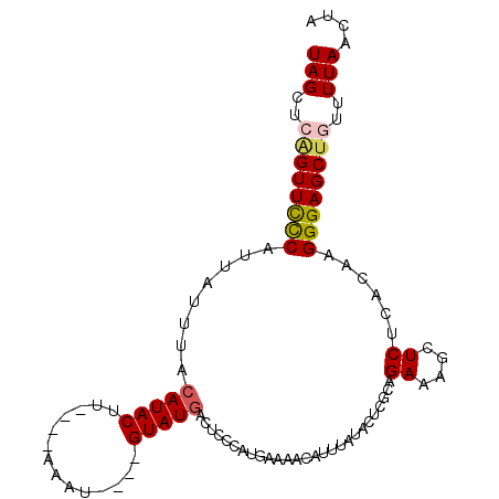 secondary structure