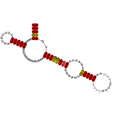 secondary structure