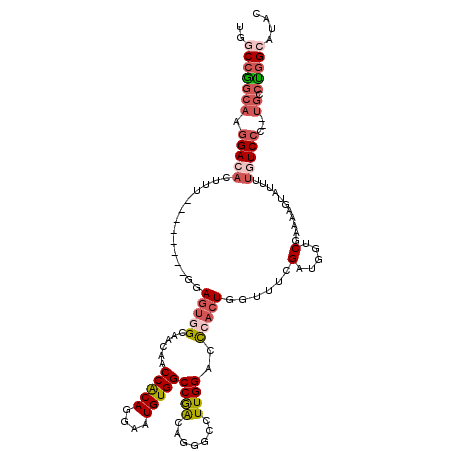 secondary structure