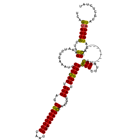 secondary structure