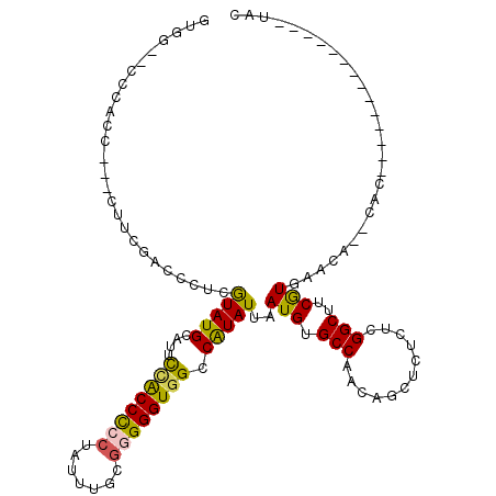 secondary structure