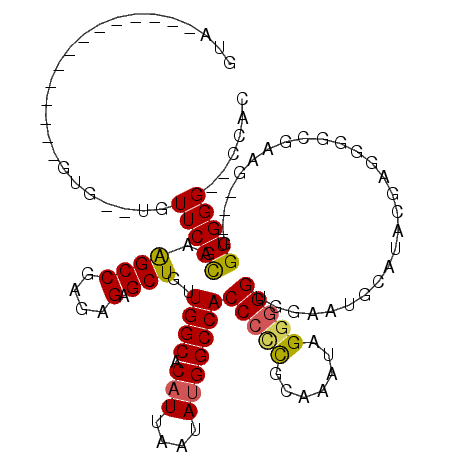 secondary structure