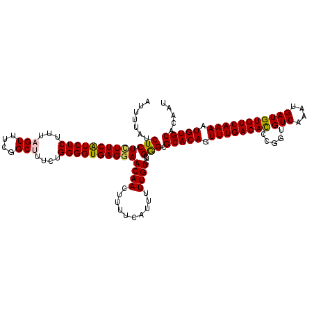 secondary structure