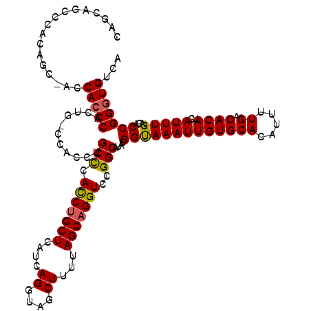 secondary structure