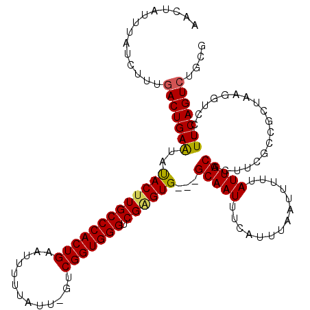 secondary structure