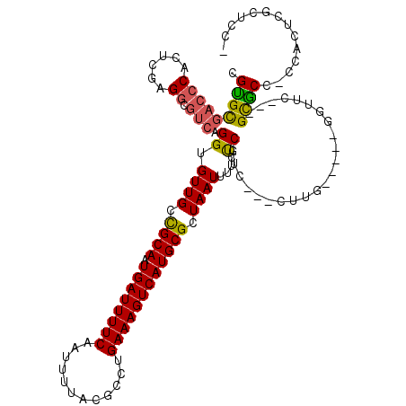 secondary structure