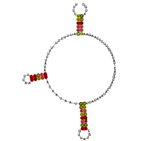 secondary structure