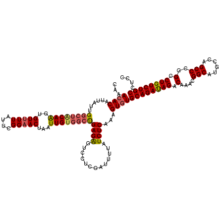 secondary structure