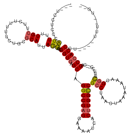 secondary structure
