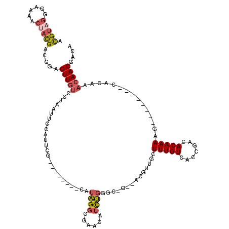secondary structure