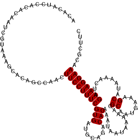 secondary structure