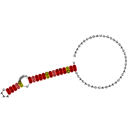 secondary structure