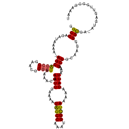 secondary structure