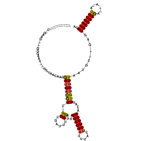 secondary structure
