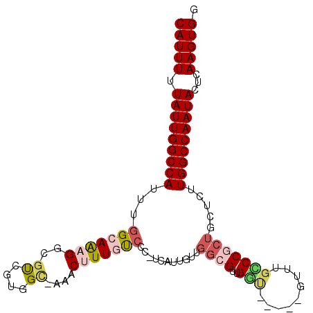 secondary structure