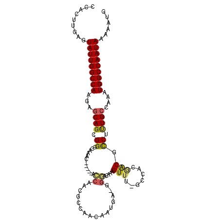 secondary structure