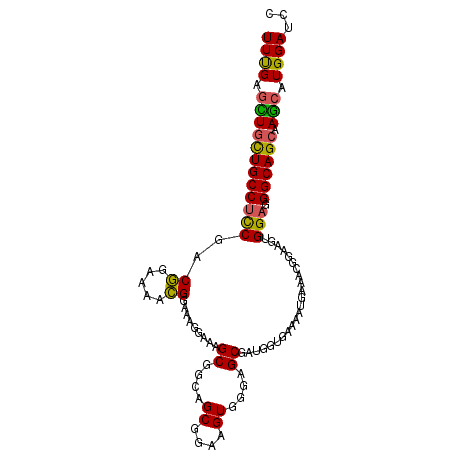 secondary structure