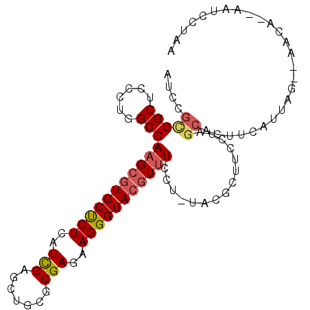 secondary structure