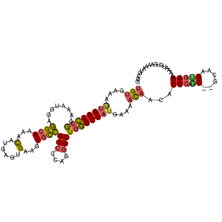 secondary structure