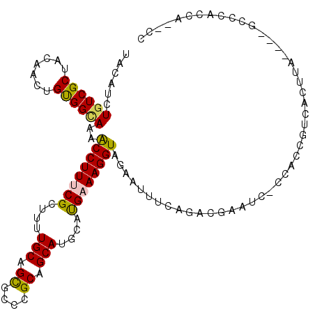 secondary structure