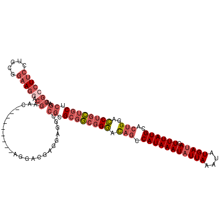secondary structure