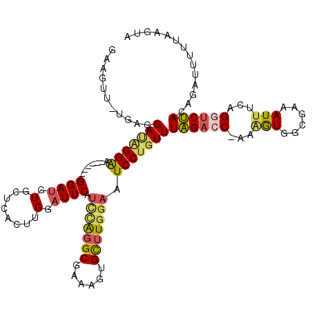 secondary structure