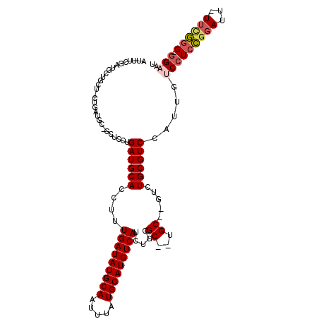 secondary structure