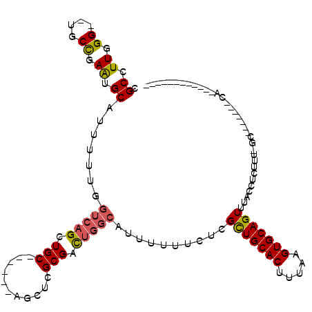 secondary structure