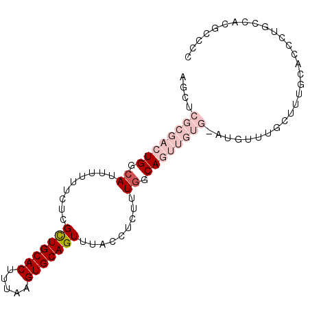 secondary structure