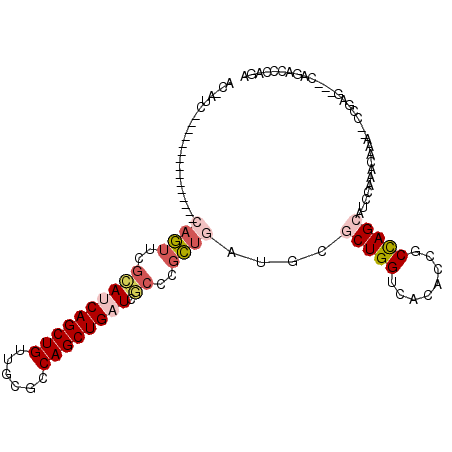 secondary structure