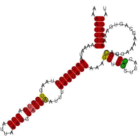 secondary structure