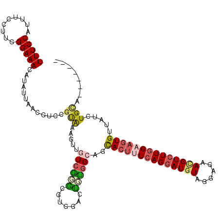 secondary structure