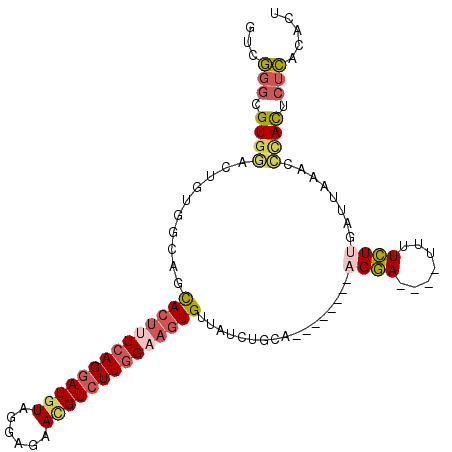 secondary structure