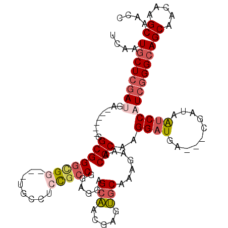 secondary structure
