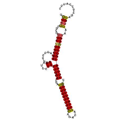 secondary structure