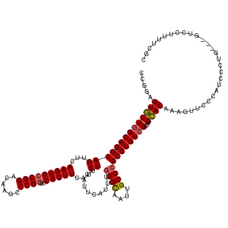 secondary structure