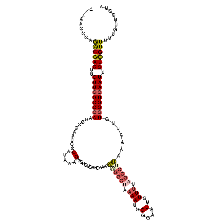 secondary structure