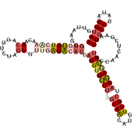 secondary structure
