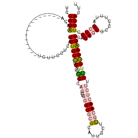 secondary structure