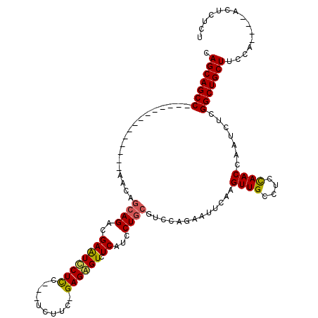 secondary structure