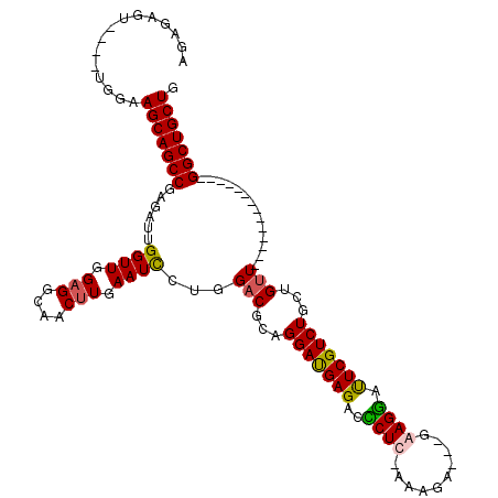 secondary structure
